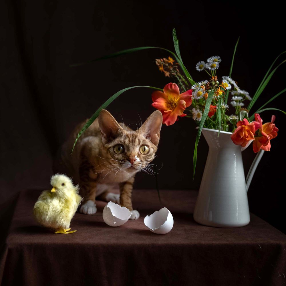 Photograph by Irina Kozhemyakina