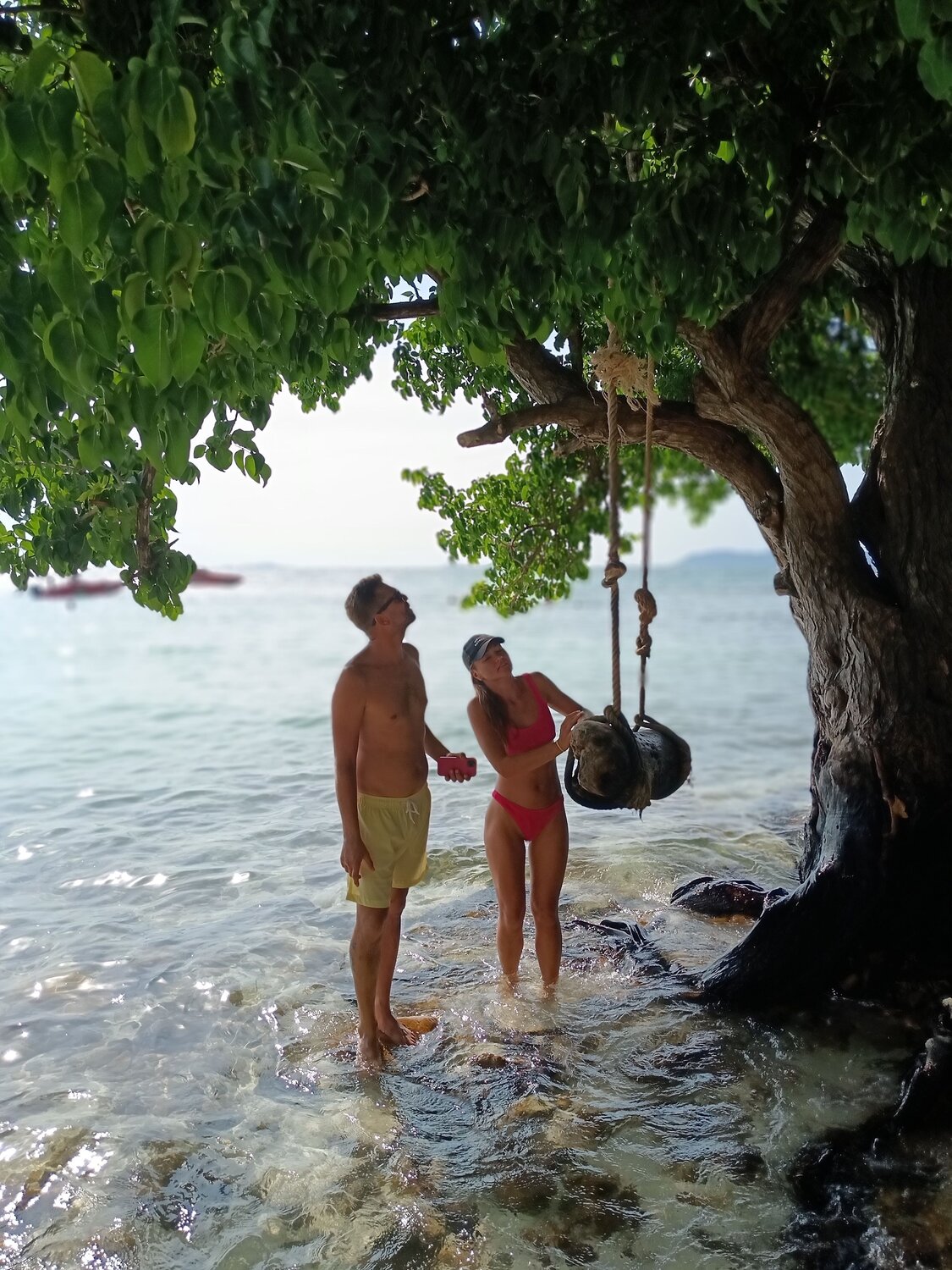 Photo #10686849