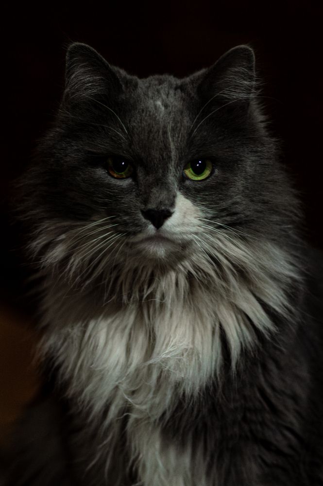 Photograph by Антон Демидов