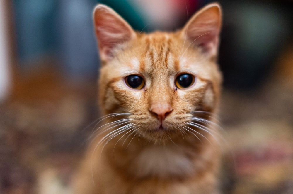 Photograph by Антон Демидов