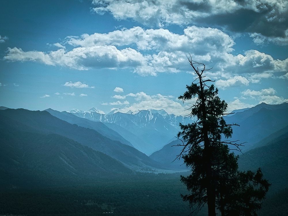 Photograph by Александра Петрова