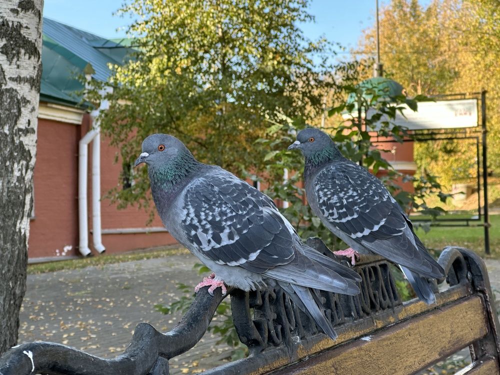 Фотография автора Юрий Пустовит