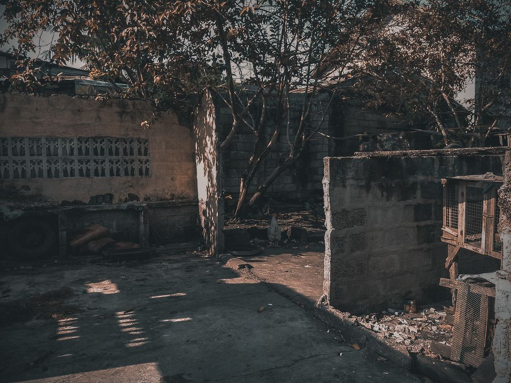 Photograph by Ma Leonor B Gonzales