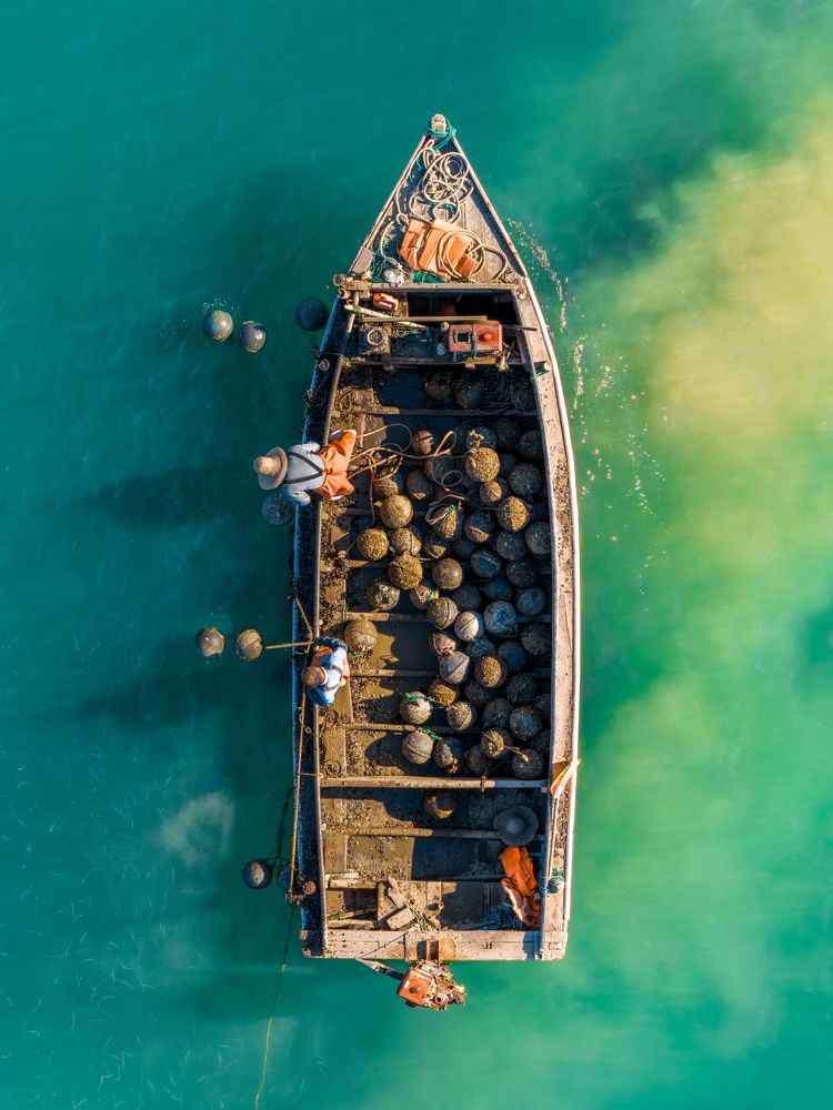 Photograph by 焦 焦搏