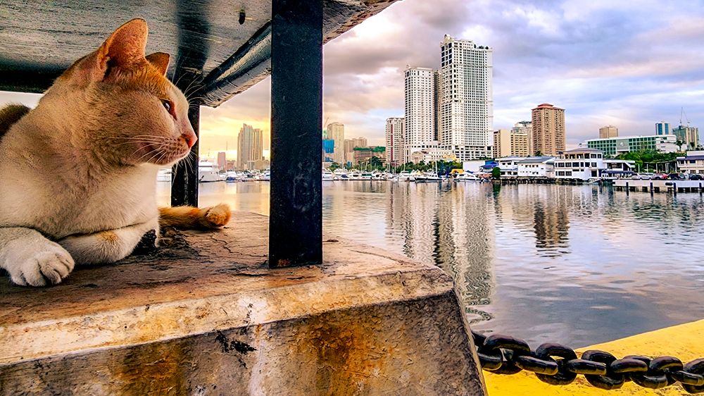 Photograph by Muhammad Haykal Lorena