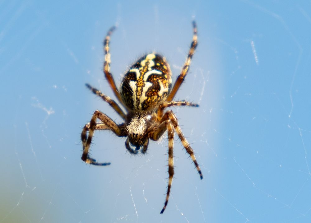 Photograph by Наталья Королева