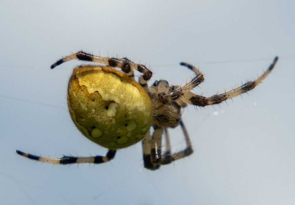 Photograph by Наталья Королева