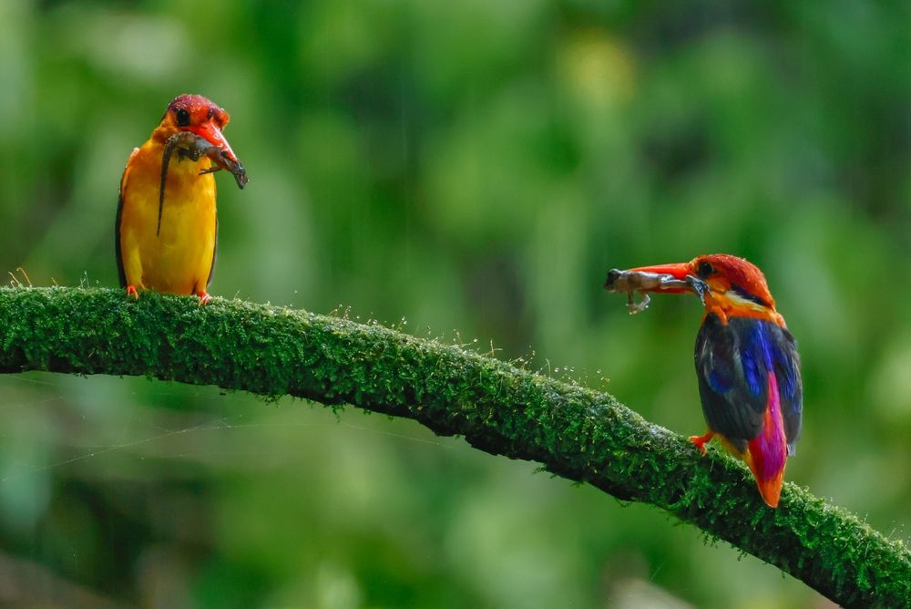 Фотография автора Abhav Mehta