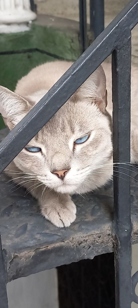 Photograph by Jair Lozano