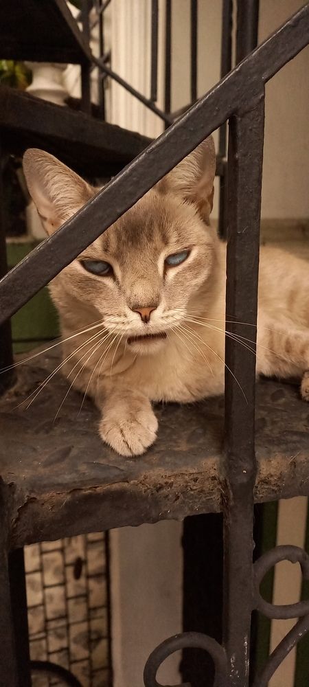 Photograph by Jair Lozano