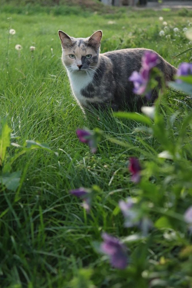 Photograph by Гузелья Иванова