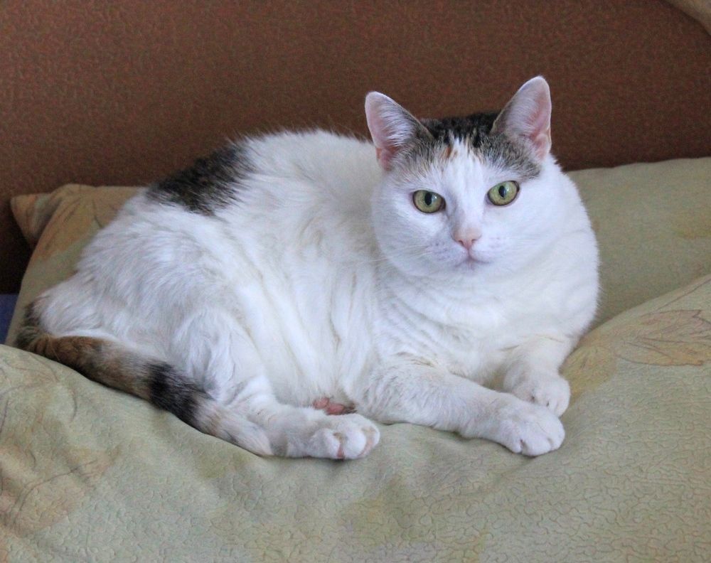 Photograph by Olga Bagaeva