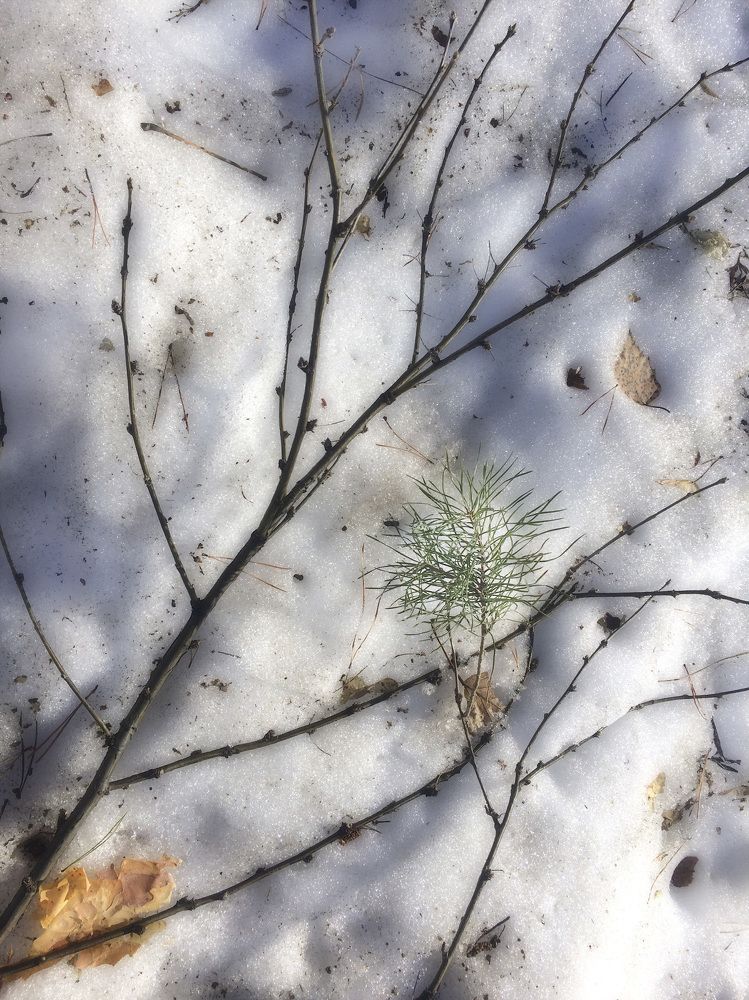 Photograph by Ирина Александрович