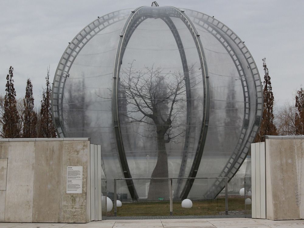 Photograph by Дмитрий Лобанов