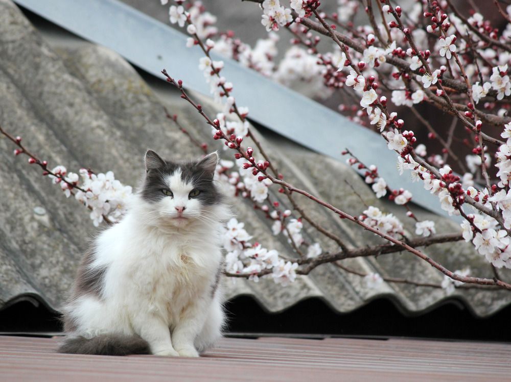 Photograph by Дмитрий Лобанов