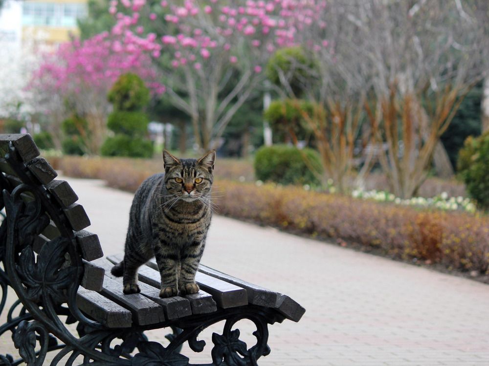 Photograph by Дмитрий Лобанов