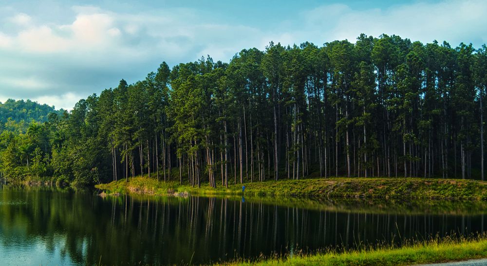 Photograph by Julio Felipe Santo Tomas