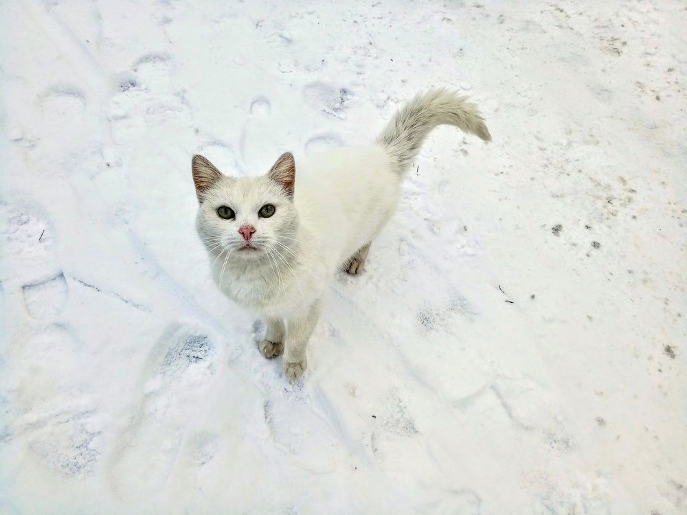 Photograph by Igors Rostikovs