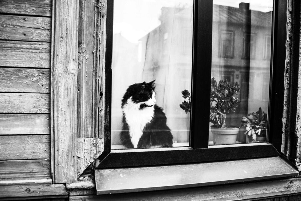 Photograph by Igors Rostikovs