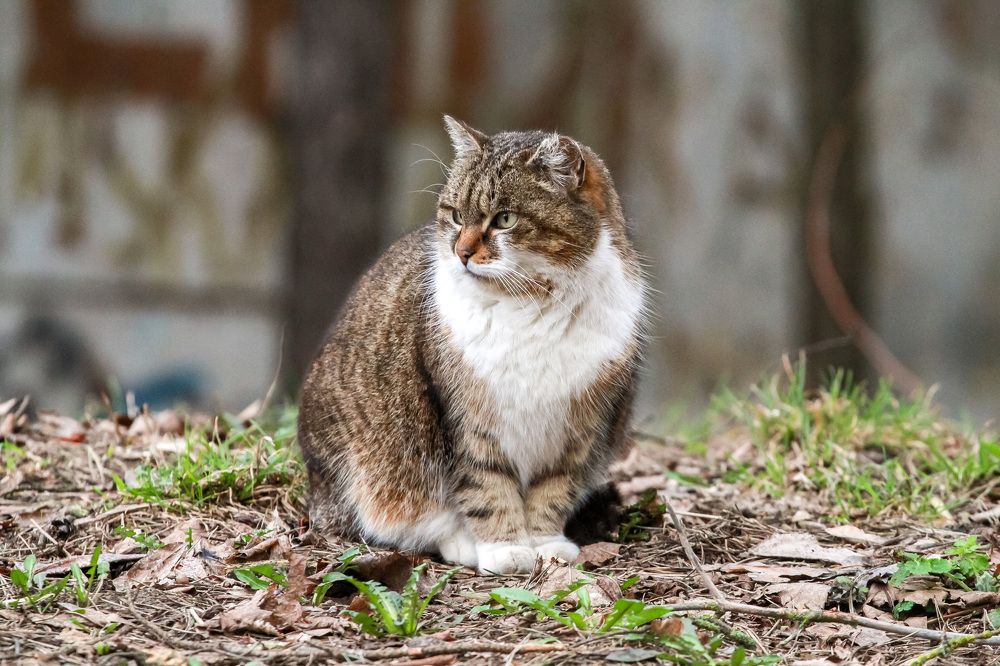 Photograph by Igors Rostikovs