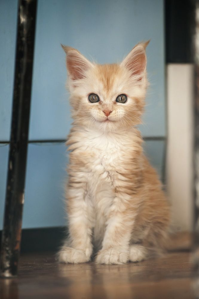 Photograph by Ирина Кузькина