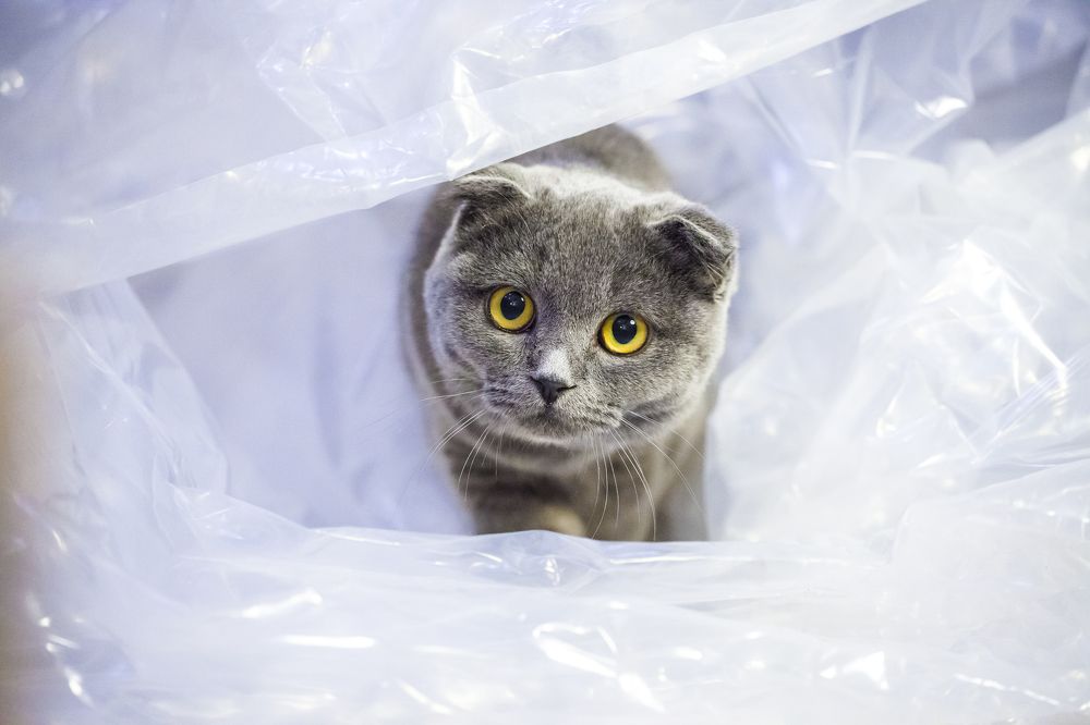 Photograph by Ирина Кузькина