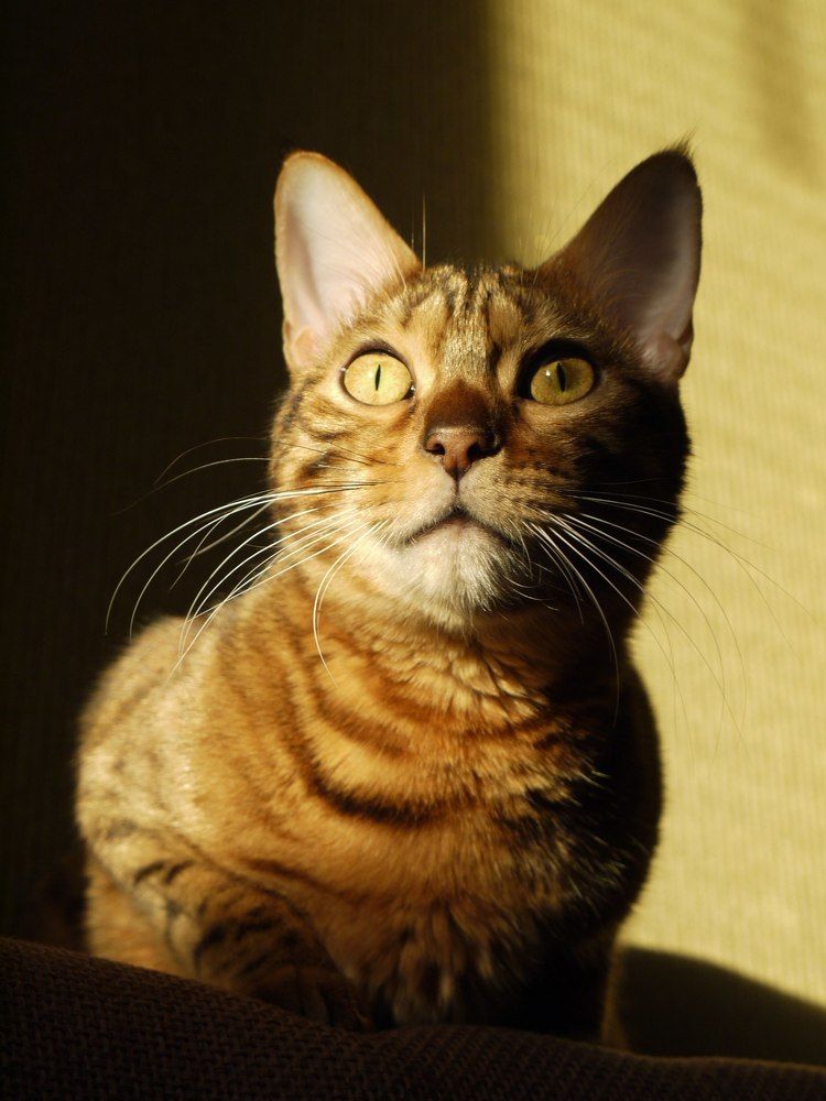 Photograph by Пищулина Ксения