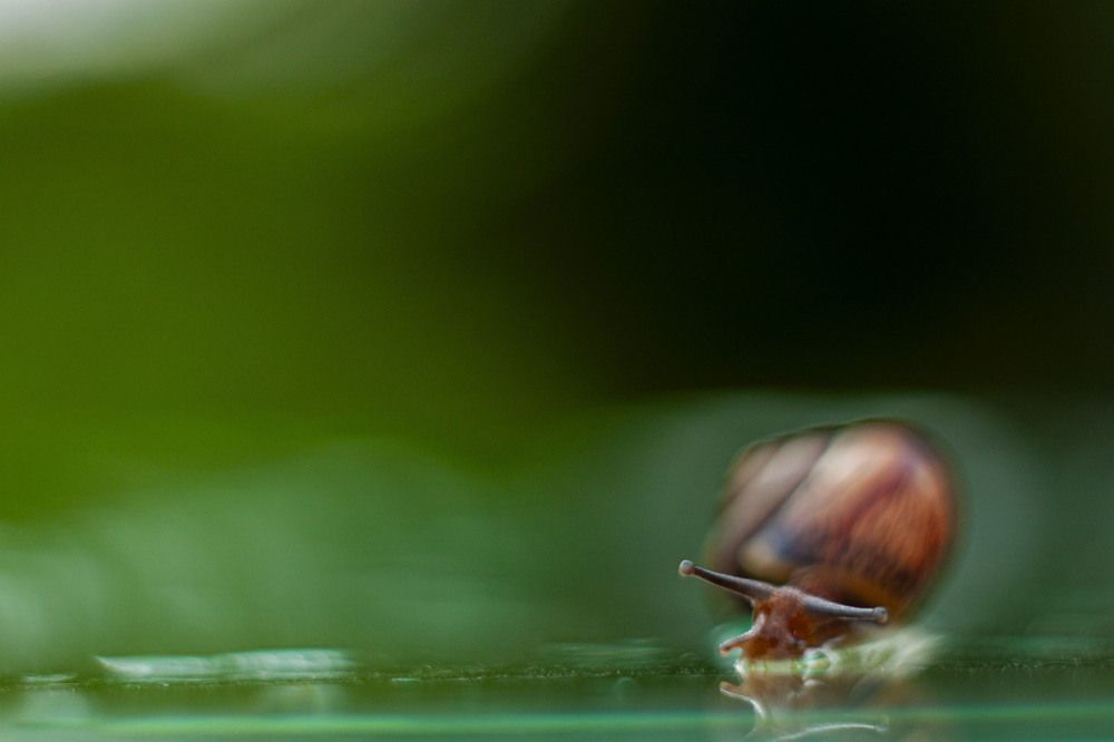 Photograph by Владислав Капанов