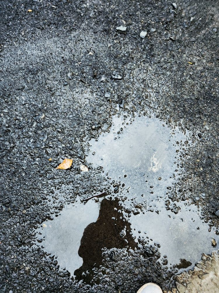 Photograph by Mihika Keshari