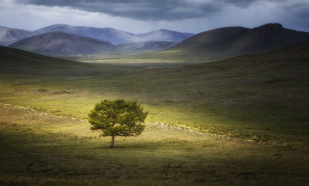 Photograph by Татьяна Бирюкова