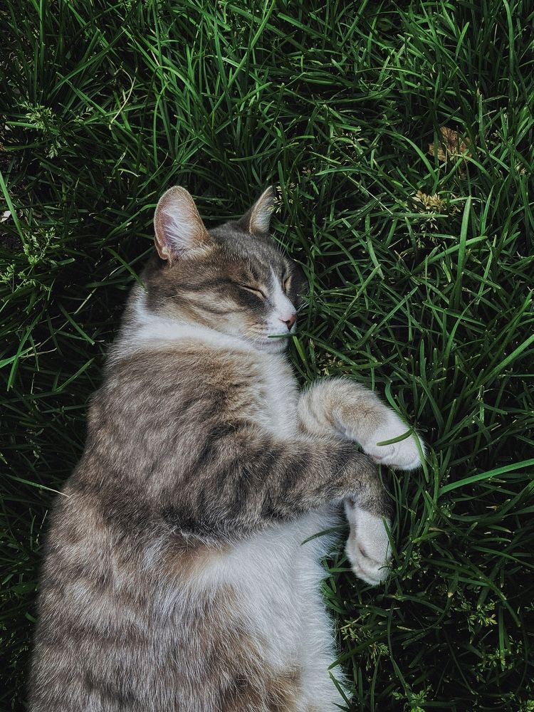 Photograph by Ирина Щербакова