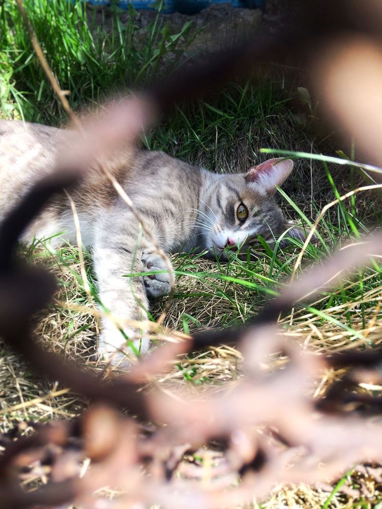 Photograph by Ирина Щербакова