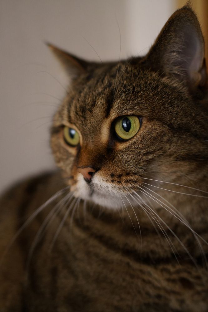 Photograph by Светлана Нестерова