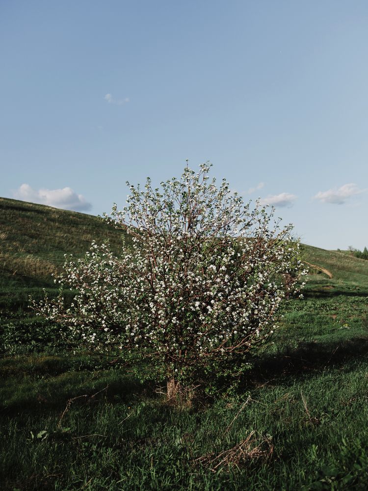 Photograph by Надежда Раскина