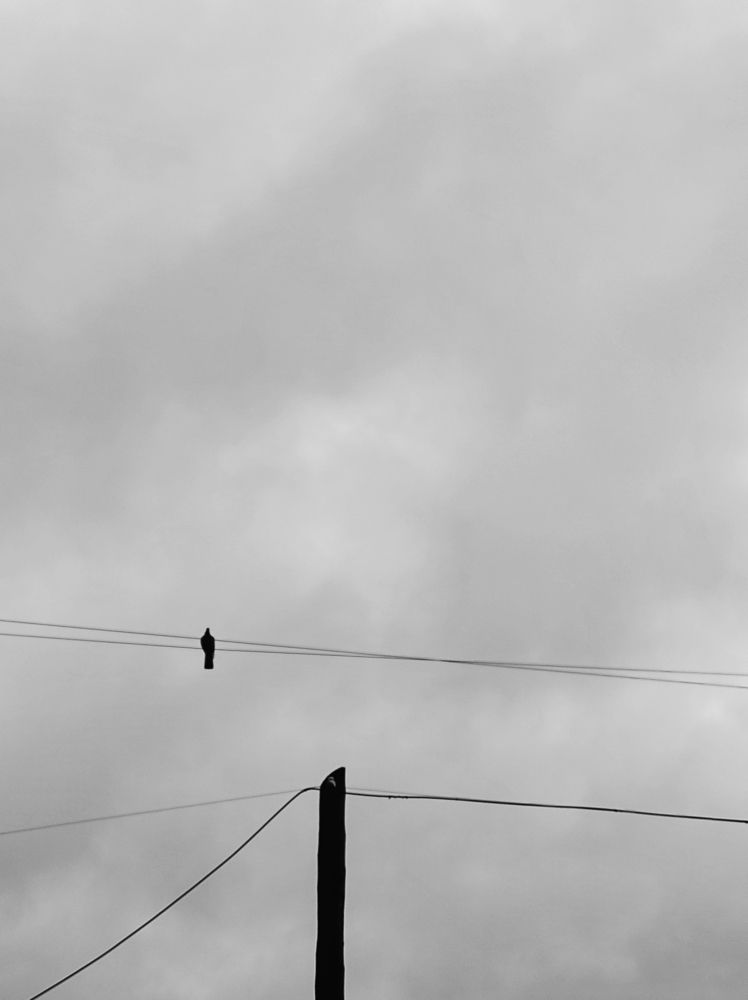 Photograph by Надежда Раскина