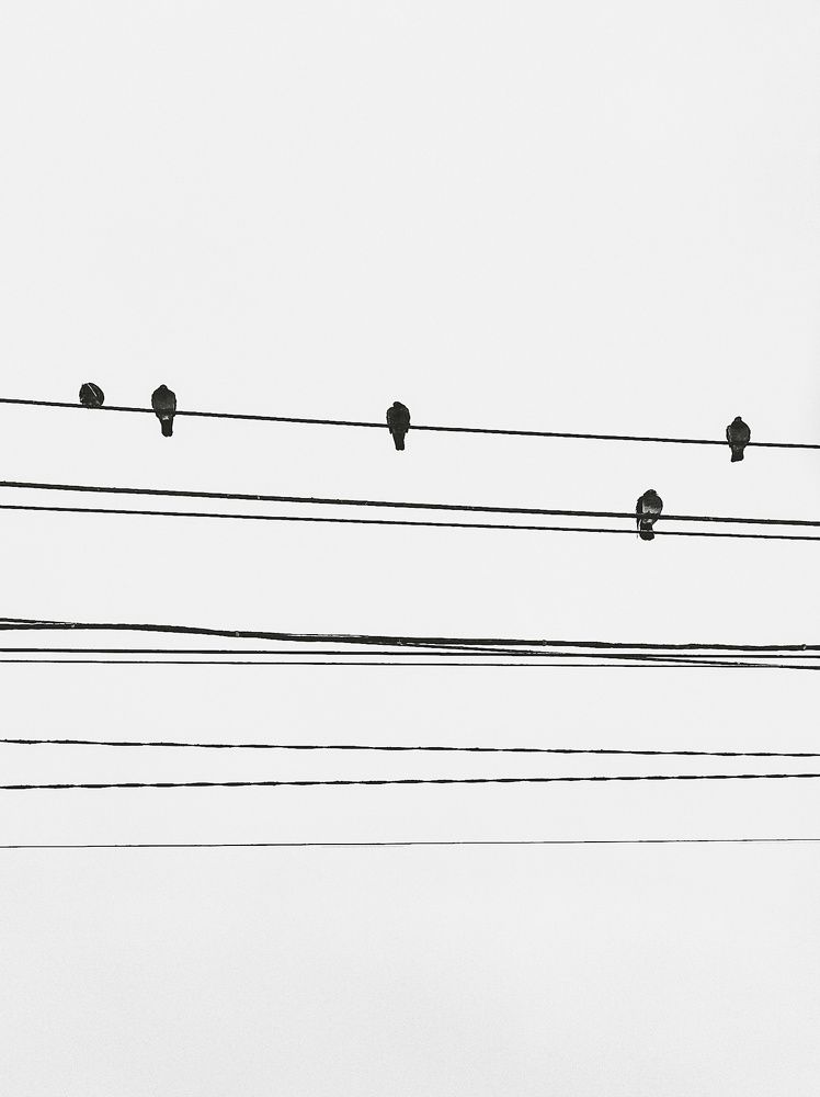 Photograph by Надежда Раскина