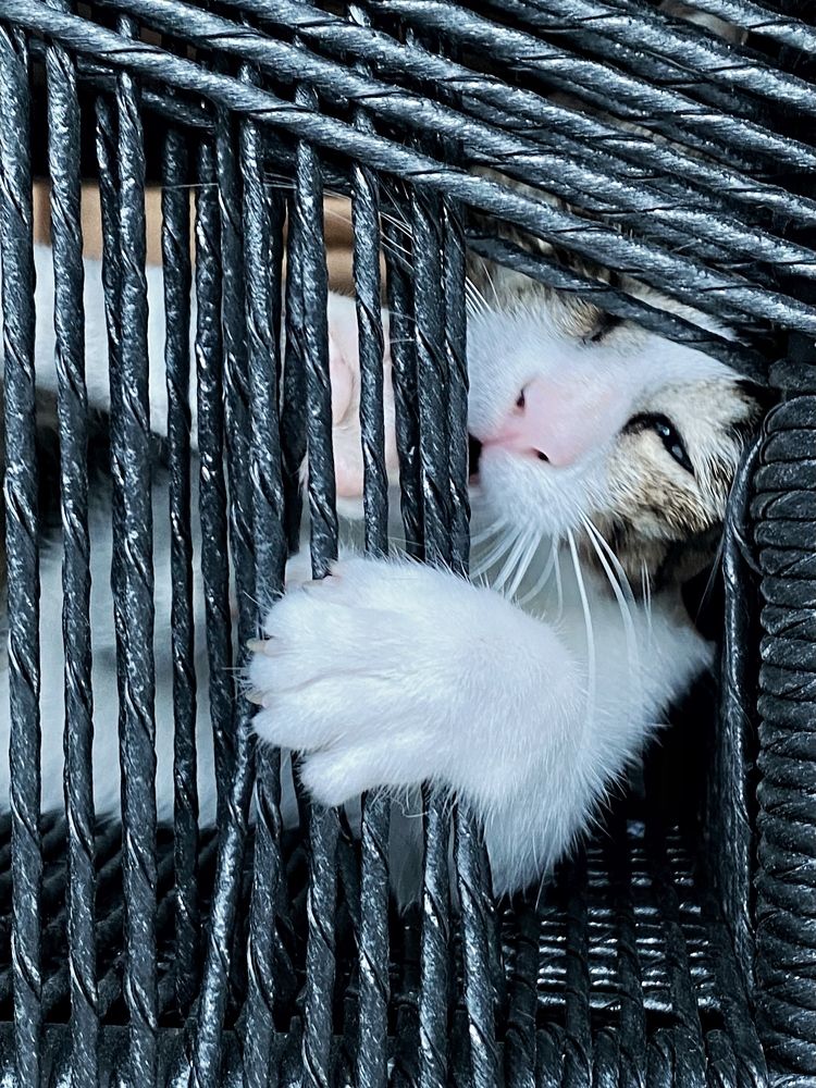 Photograph by Ирина Сорока