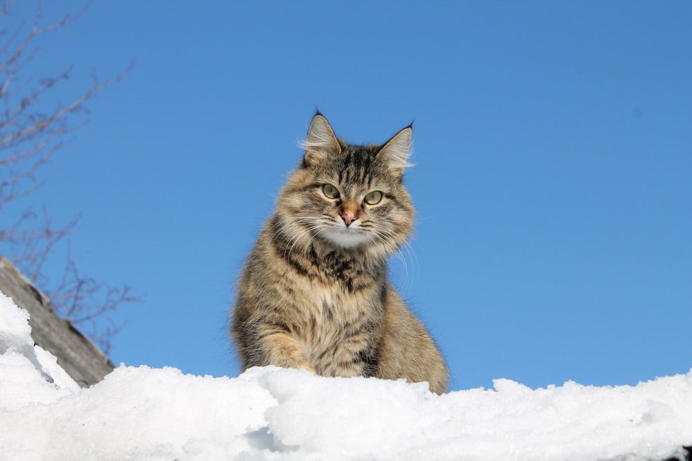 Photograph by Алла Бойко