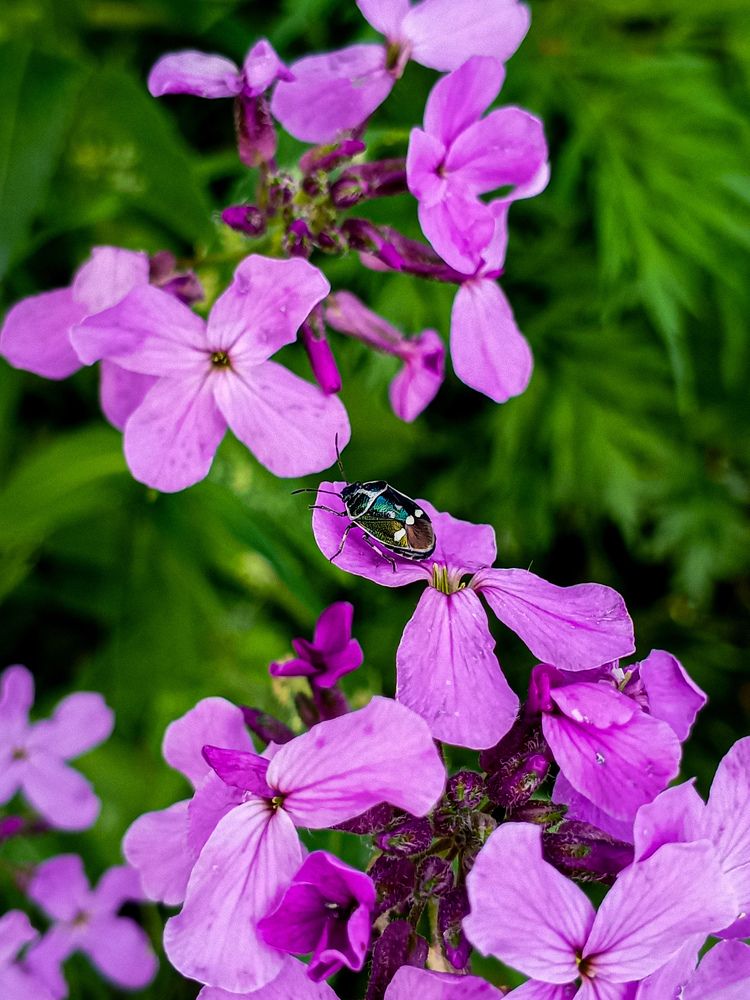 Photograph by Ольга Головина