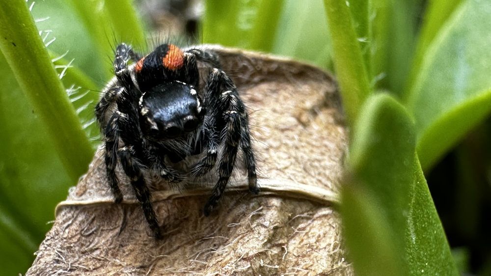 Photograph by Maha Rasheed