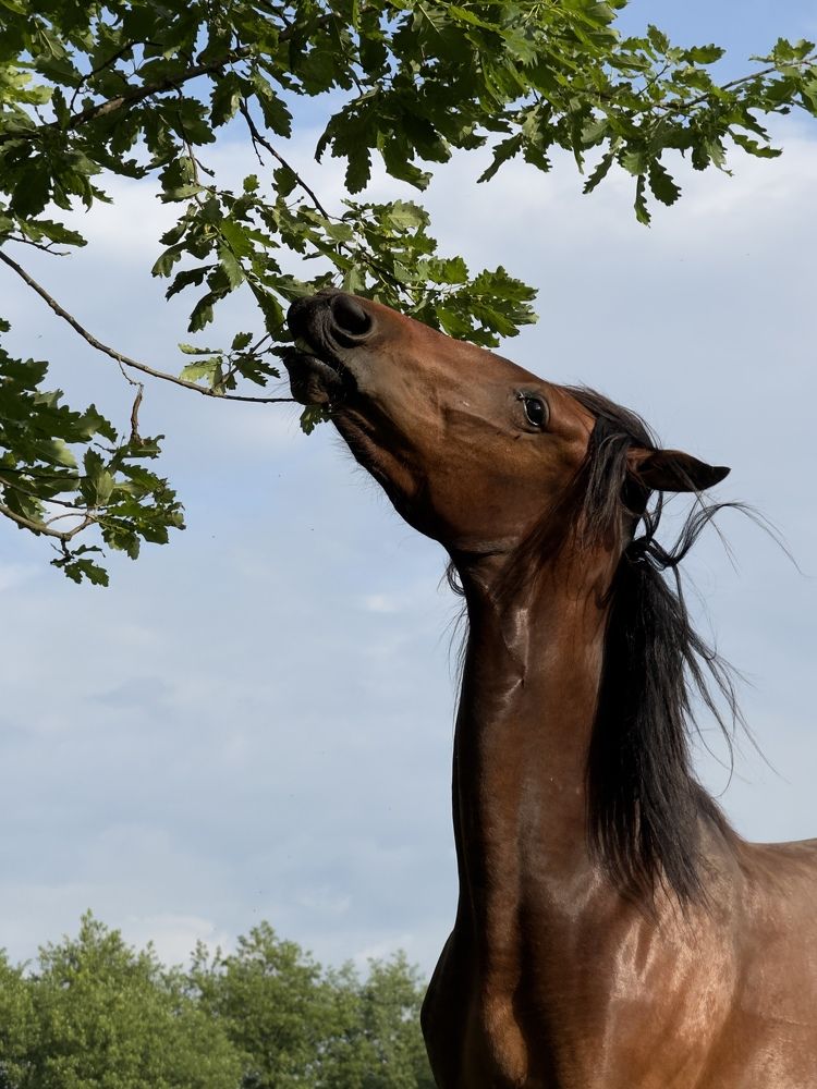 Photograph by Елена Солодовник