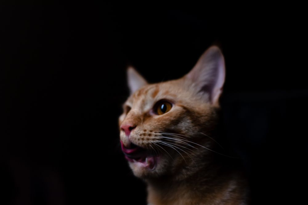 Photograph by Карманова Анастасия