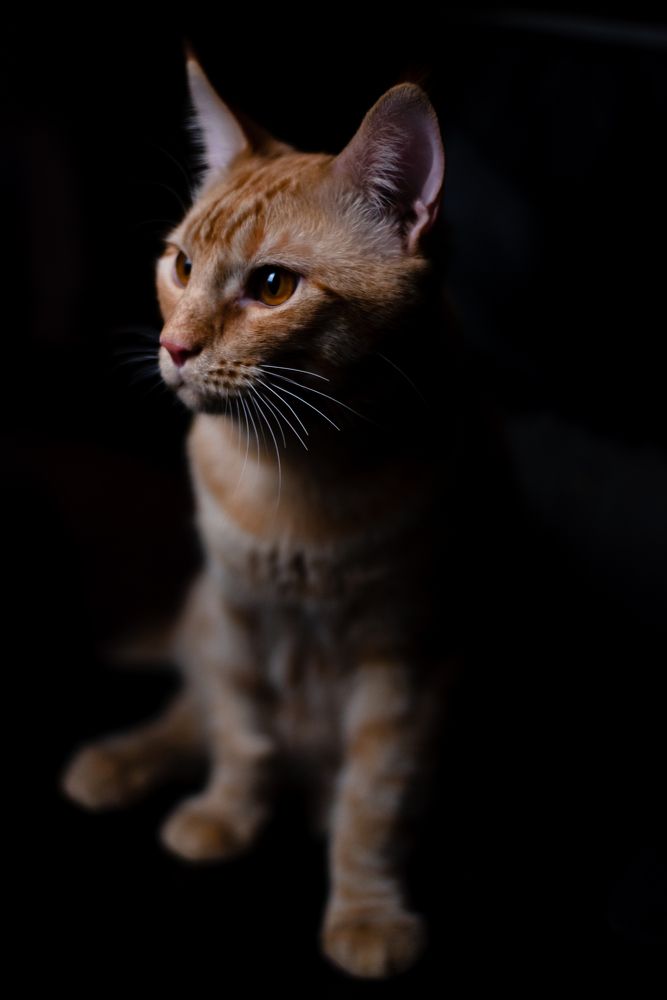 Photograph by Карманова Анастасия