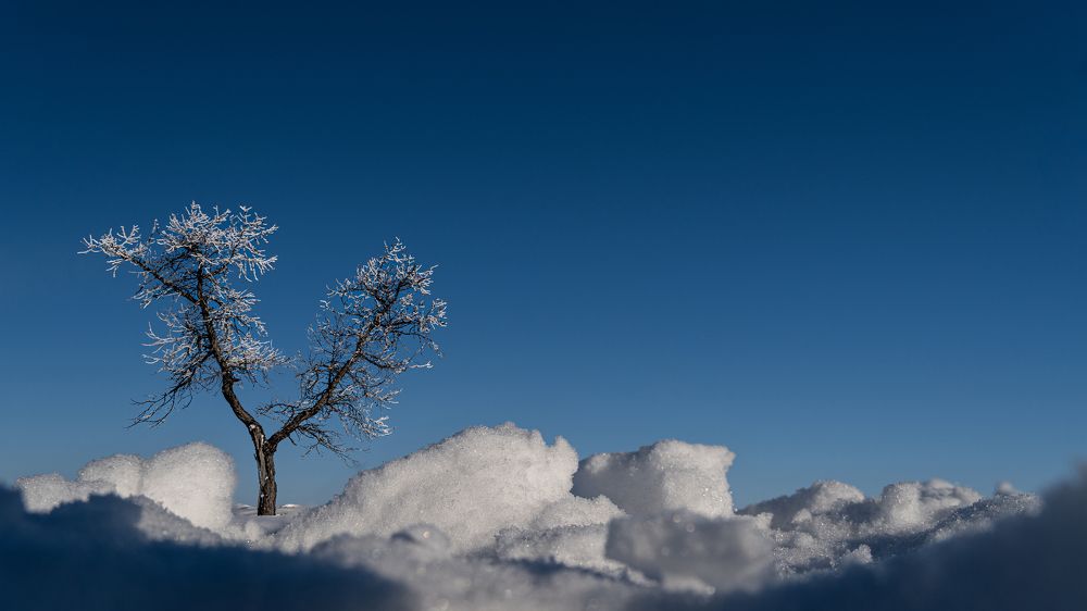 Photograph by Антон Дроздов