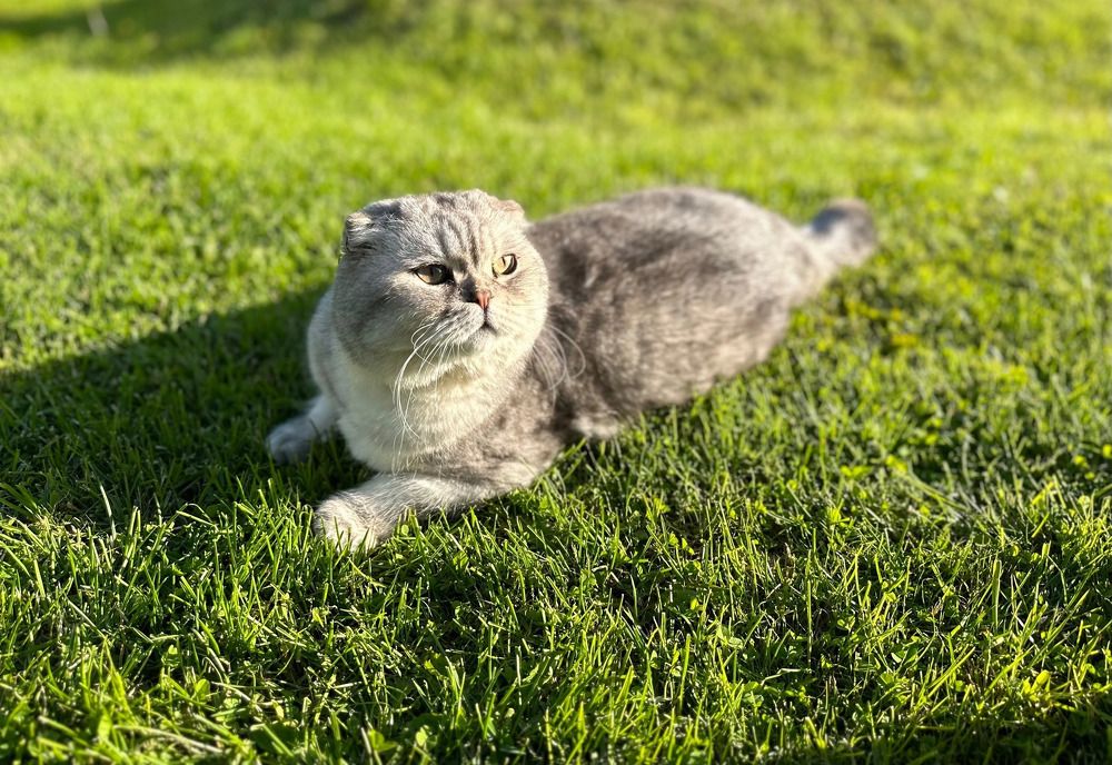 Photograph by Екатерина Раевская