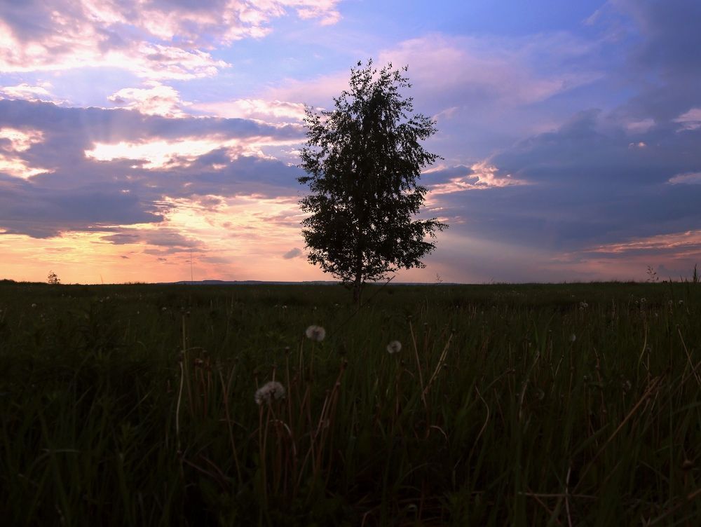 Photograph by Серёга Ануфриев