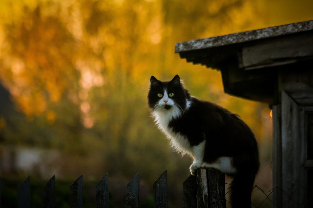 Photograph by Фомочкин Алексей