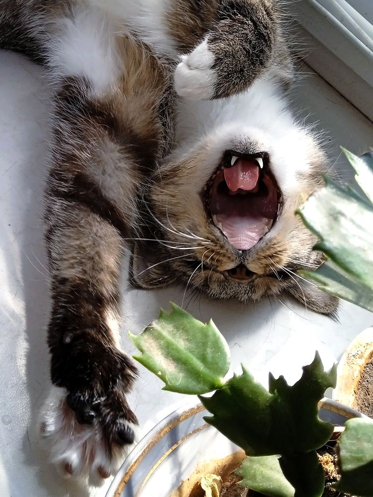 Photograph by Наталья Назаренко