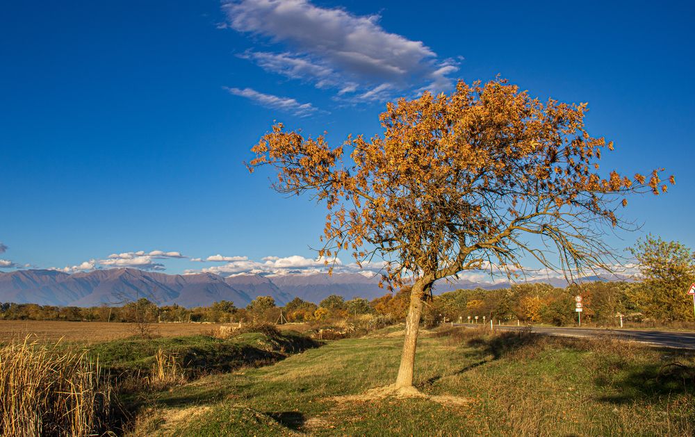 Photograph by Alex Kalpus