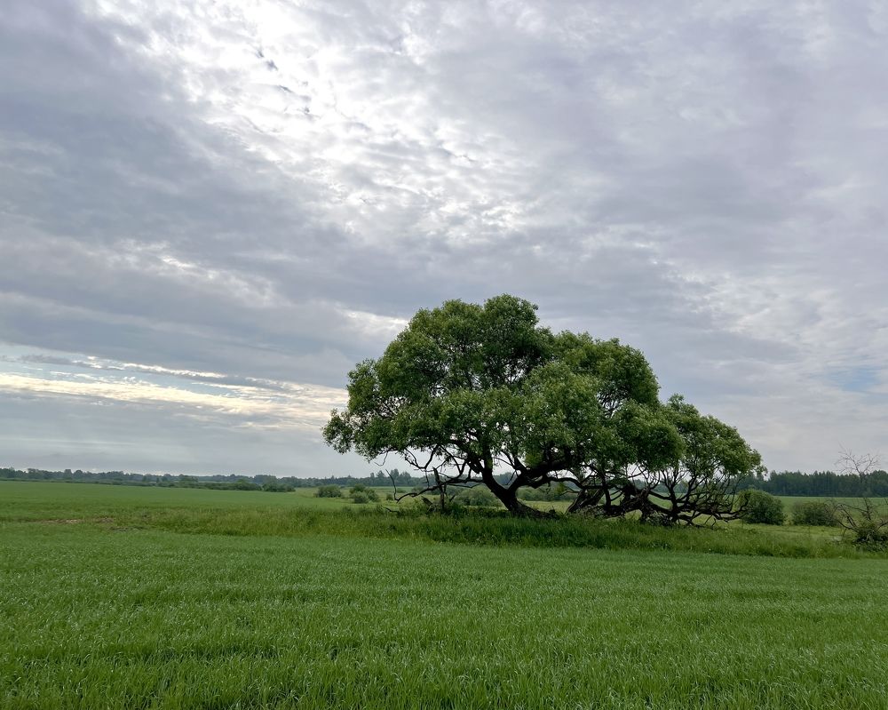 Photograph by Tatiana Grinko